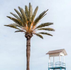 Wypożyczalnie samochodów Larnaka