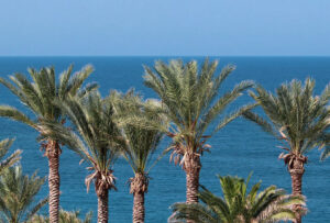 Wypożyczalnie samochodów Ajia Napa