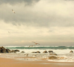 Wypożyczalnie samochodów Amadora