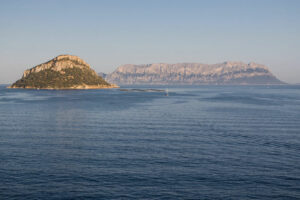 Wypożyczalnie samochodów Olbia