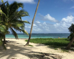 Wynajem Samochodów Martynika