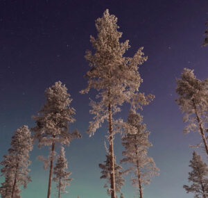 Wynajem samochodów na Port lotniczy Gällivare
