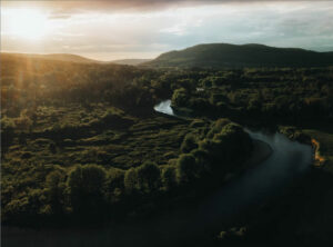 Tani wynajem samochodów Nowy Brunszwik