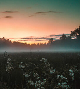 Wynajem samochodów na Port lotniczy Turku