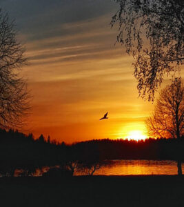 Wynajem samochodów na Port lotniczy Vaasa