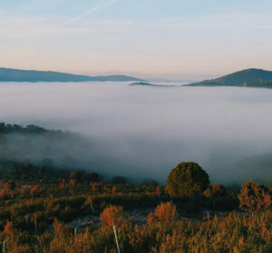 Wynajem samochodów na Port lotniczy Badajoz